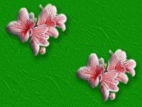 Blumen - Azaleenbl&uuml;ten auf hellgr&uuml;nem Hintergrund