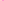 rosa-rosa-gestreift